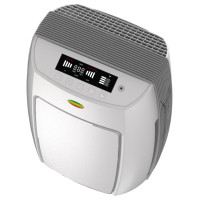 Ионный очиститель воздуха  PuraLuft ARP-F6.50H
